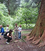 tl_files/kunden_templates/mechthild/bilder/Bäume_Märchen001.jpg